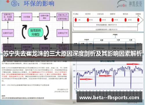 苏宁失去崔龙洙的三大原因深度剖析及其影响因素解析 苏宁失去崔龙洙的三大原因深度剖析及其影响因素解析