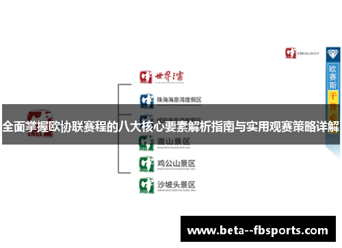 全面掌握欧协联赛程的八大核心要素解析指南与实用观赛策略详解